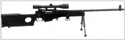 снайперская винтовка L96A1