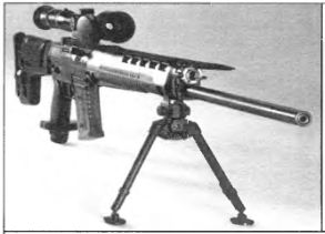 снайперская винтовка ЗИГ СГ 550 с дневным оптическим прицелом