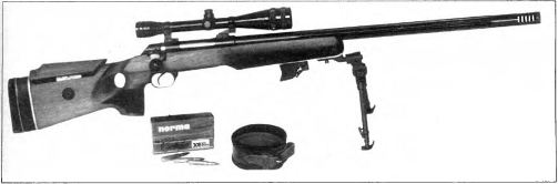 винтовка БГР «Армалон» с боеприпасами